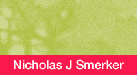 Nicholas J Smerker