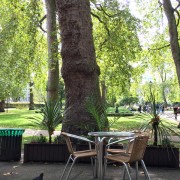 the lovely park café across from Hotel Russell