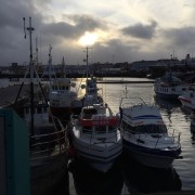 Reykjavík Harbor